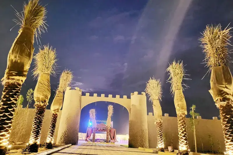 Desert-safari-Night