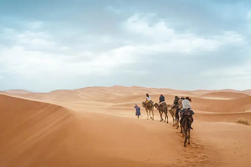 Desert-safari